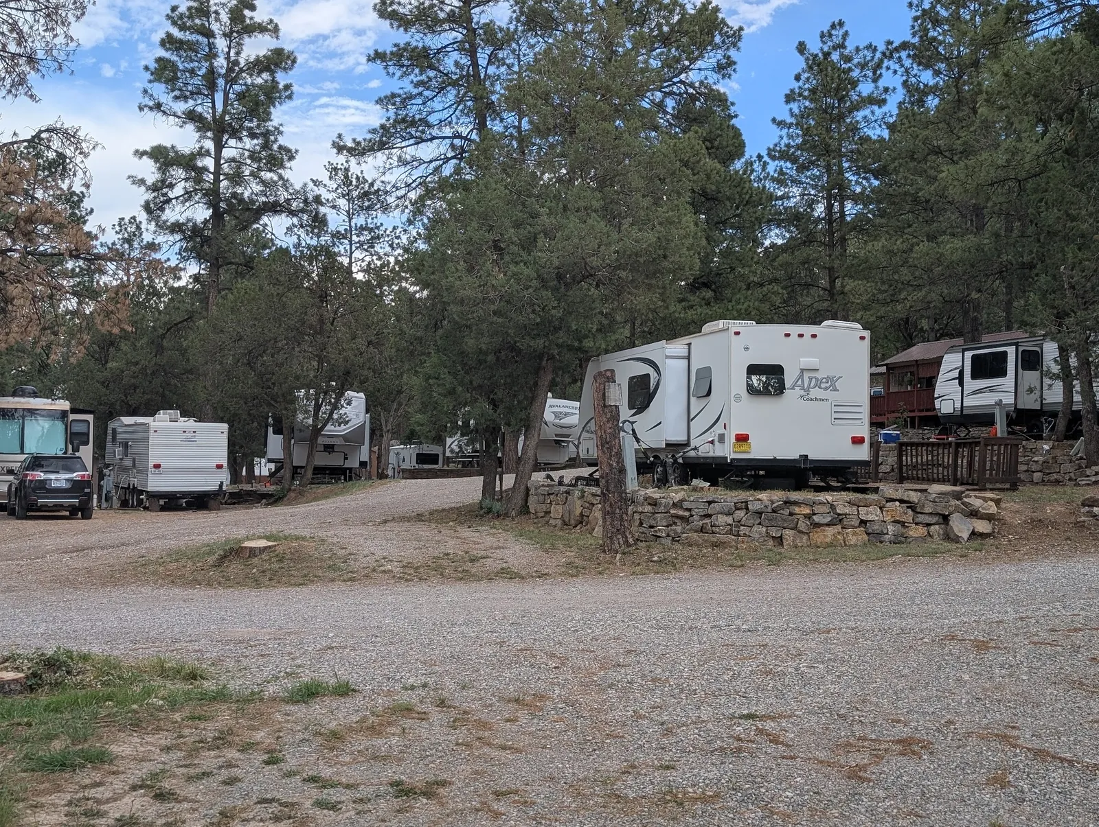 The main loop of the park, stone terraces holding each row of sites under tall pines