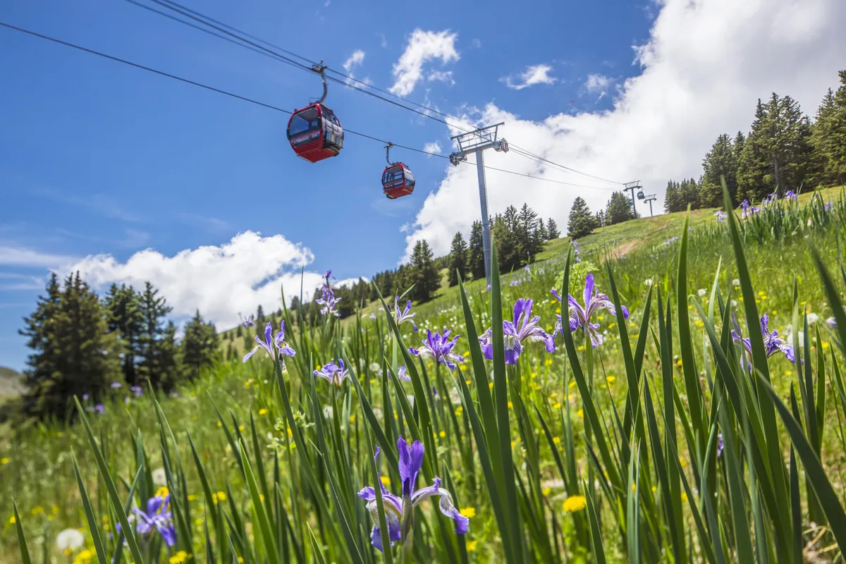 Ski Apache slopes on Sierra Blanca